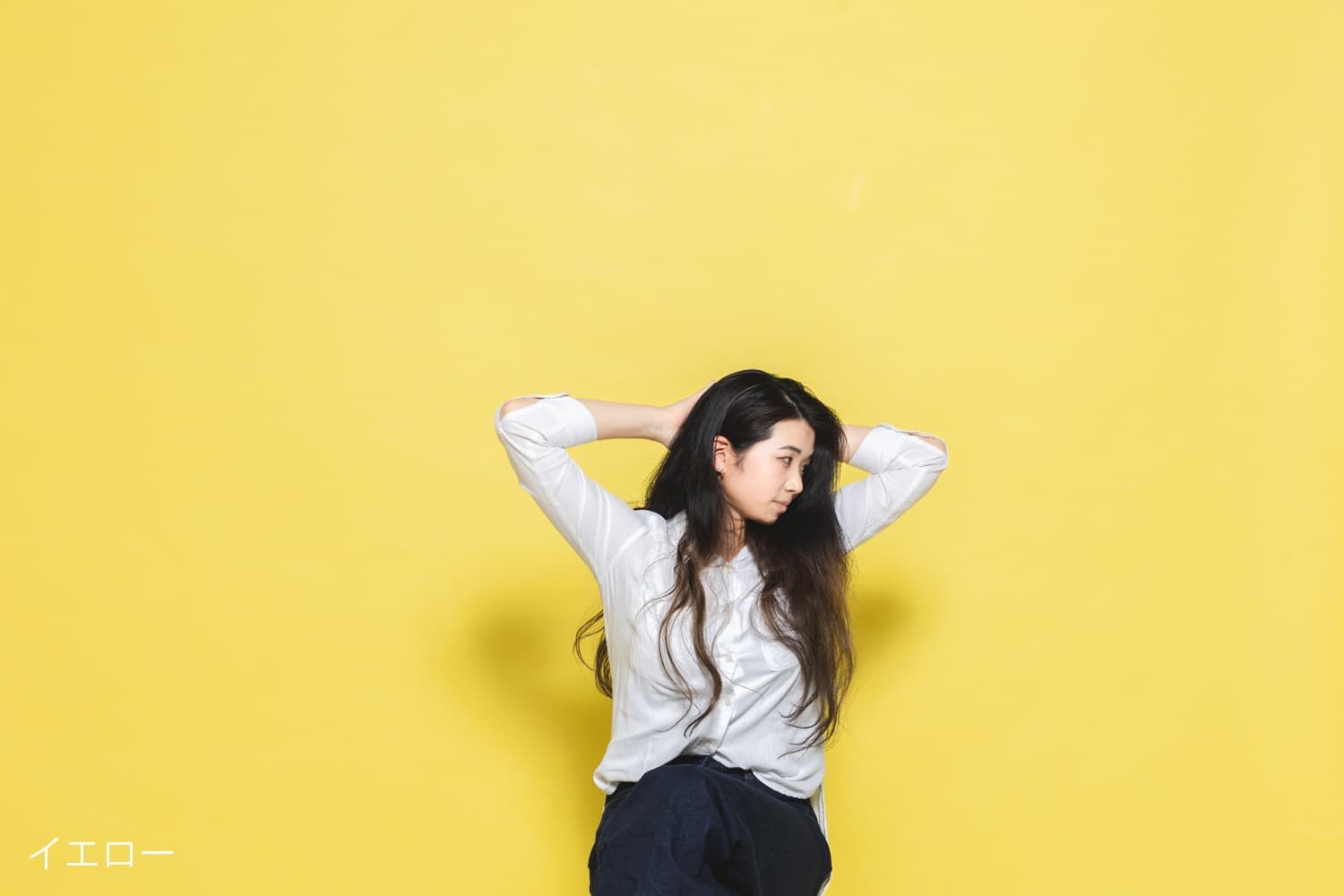 スタジオカラーバック