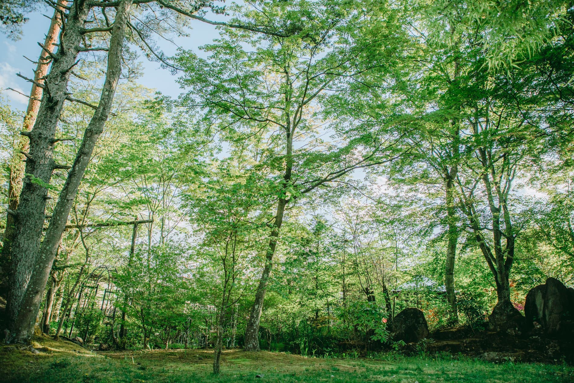 ガーデンフォトスタジオ