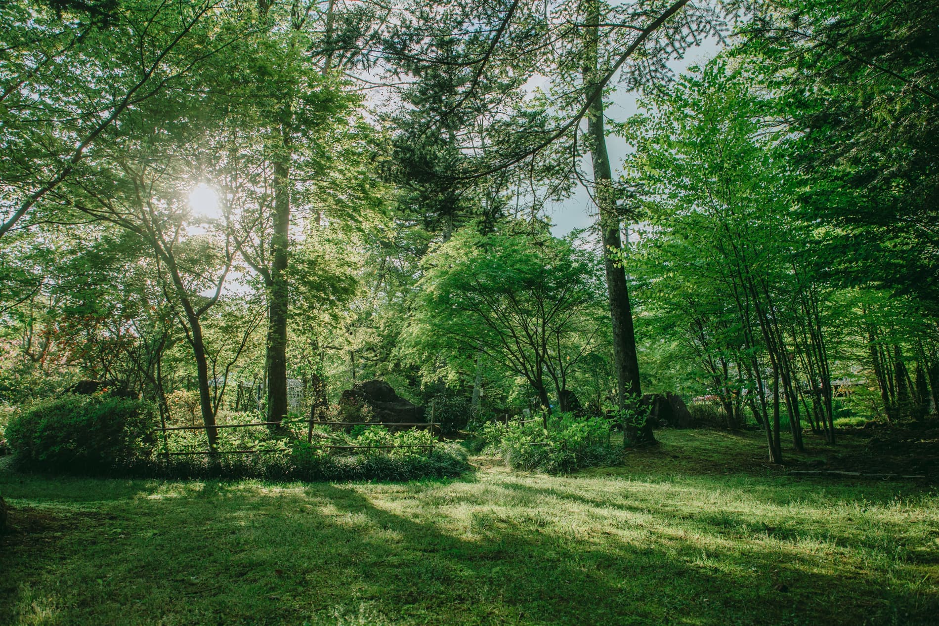 ガーデンフォトスタジオ