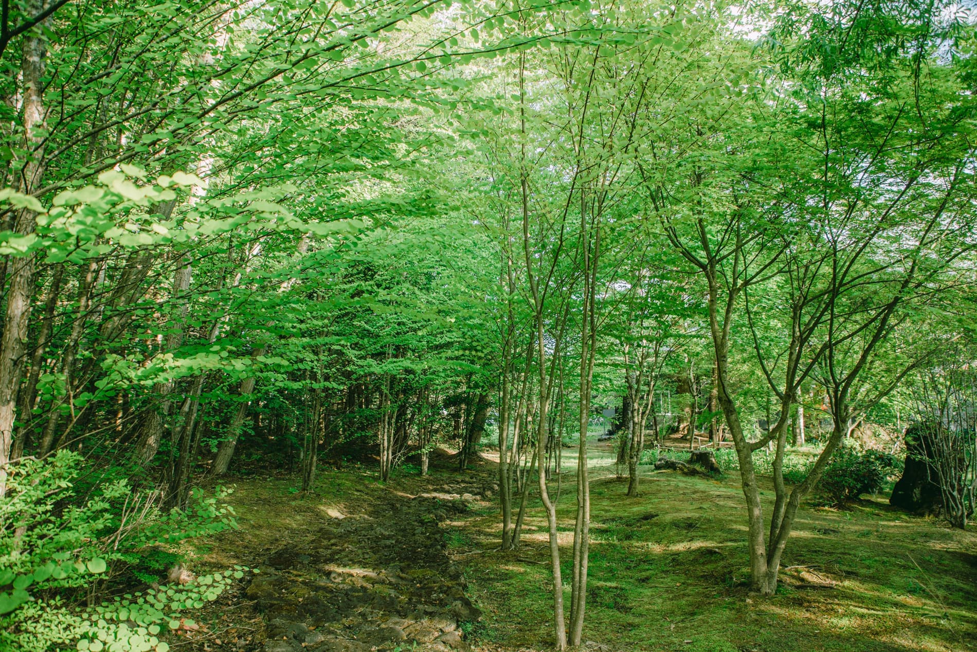 ガーデンフォトスタジオ