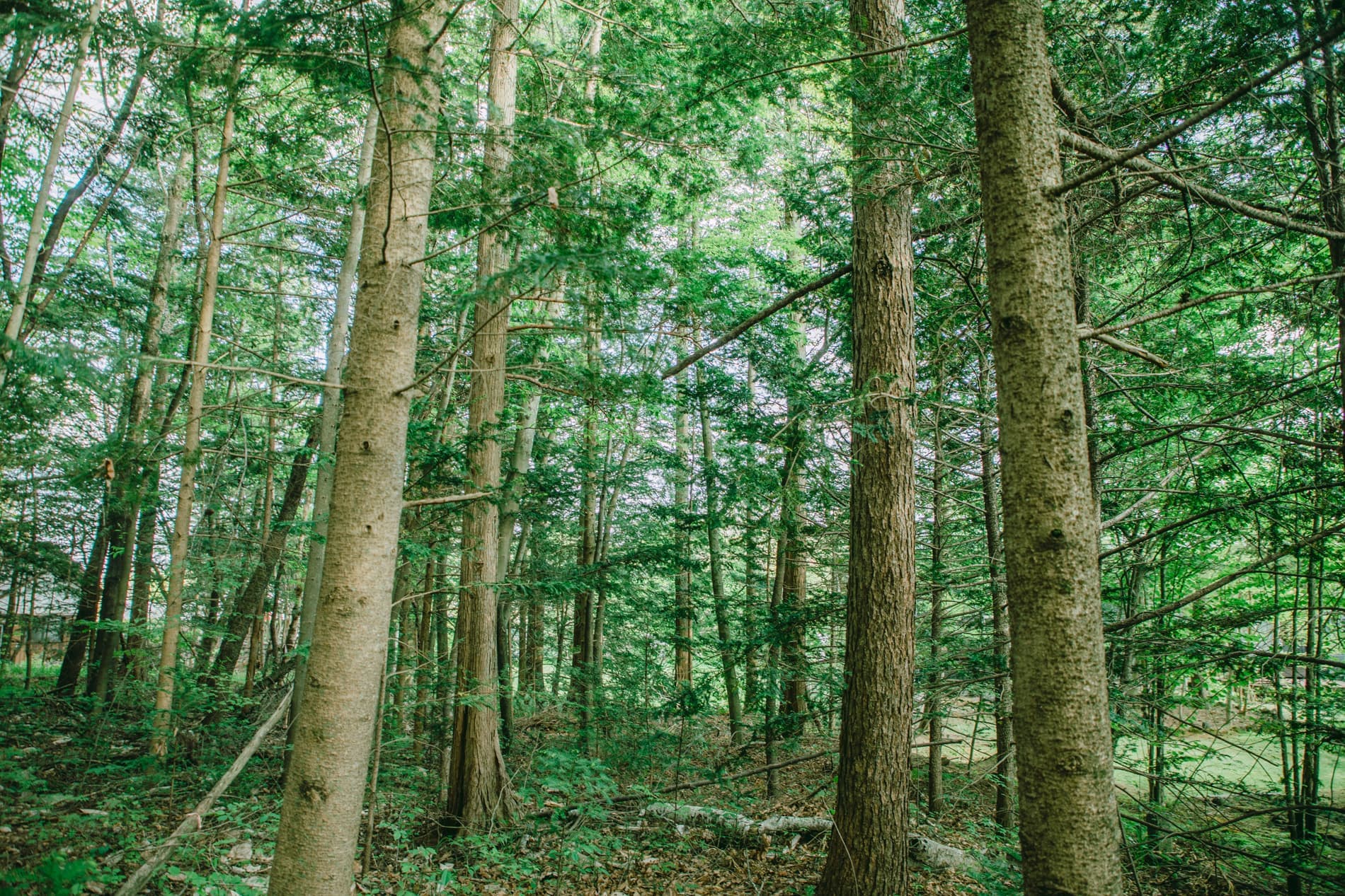 ガーデンフォトスタジオ