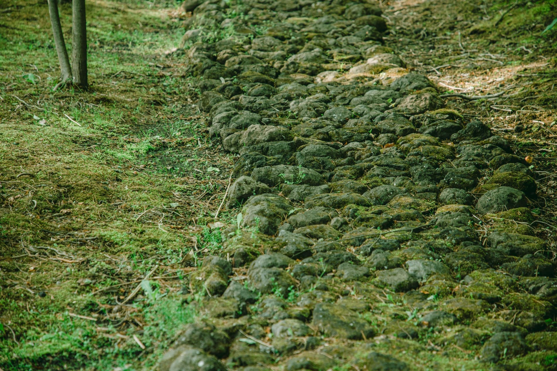 ガーデンフォトスタジオ