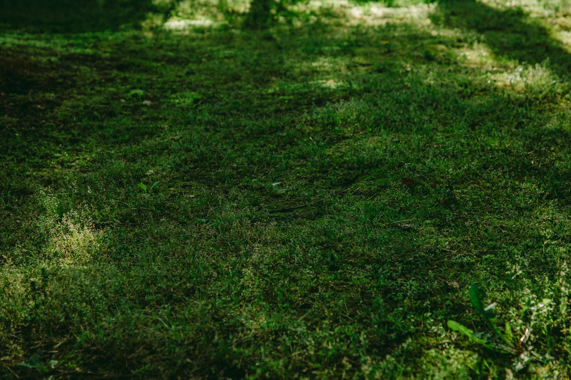 ガーデンフォトスタジオ